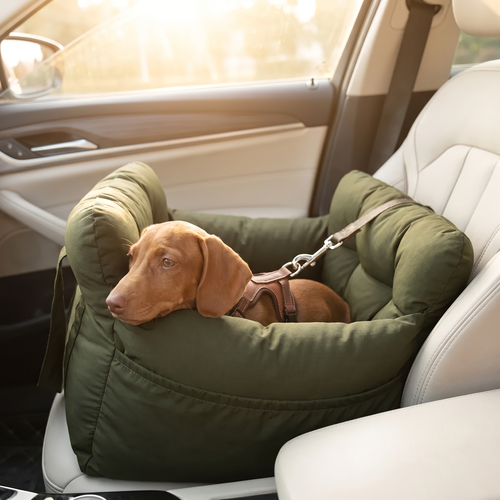 Hund schlaeft entspannt im Doviera Hundeautositz im Auto