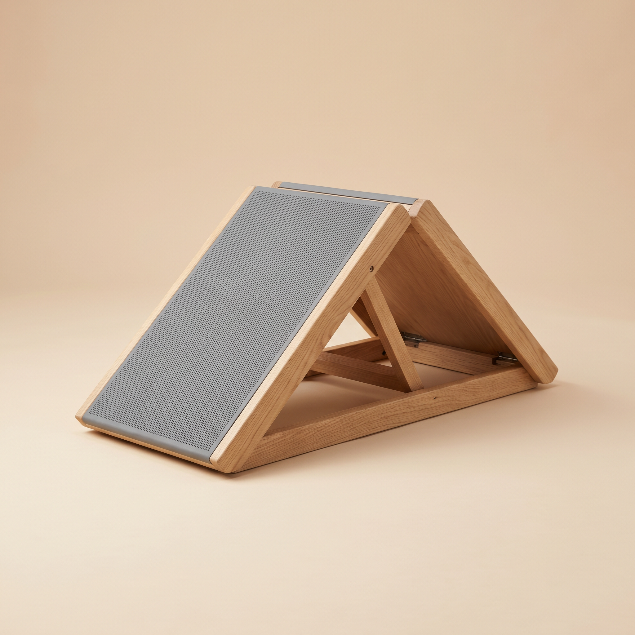Doviera Hunderampe (klappbar)